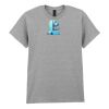 Adult t-shirt Heavy Cotton Thumbnail